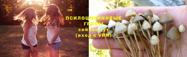 трава Абинск