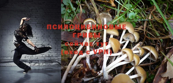 ПСИЛОЦИБИНОВЫЕ ГРИБЫ Абдулино