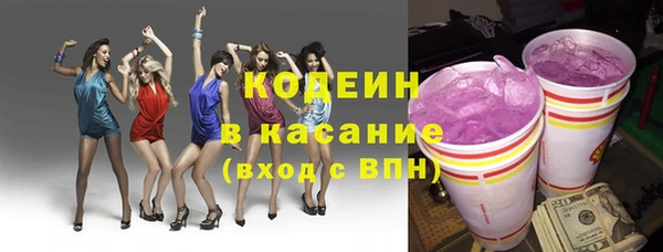 индика Абаза