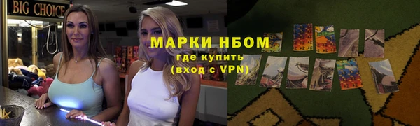 индика Абаза