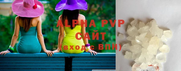 индика Абаза