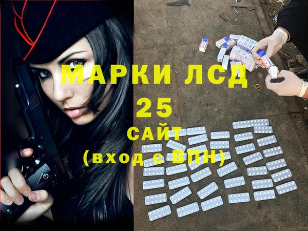 индика Абаза
