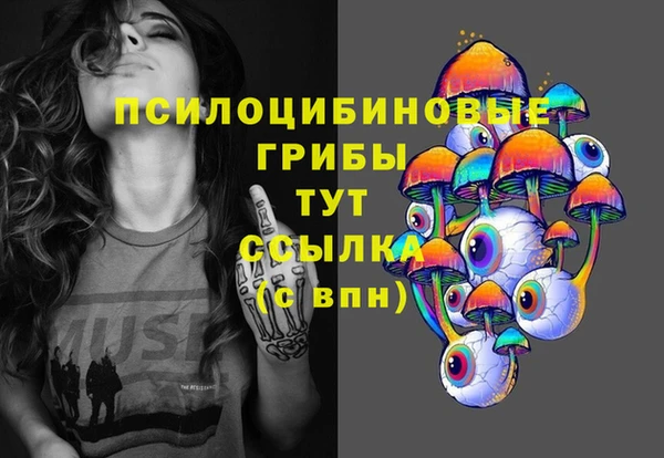 ПСИЛОЦИБИНОВЫЕ ГРИБЫ Абдулино