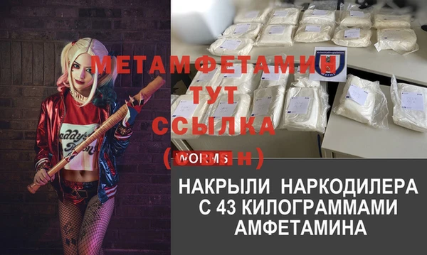 индика Абаза
