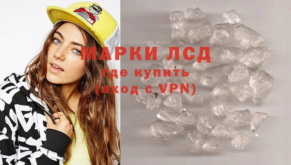 индика Абаза