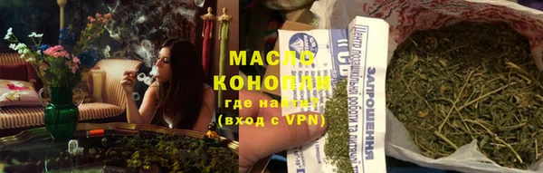 индика Абаза
