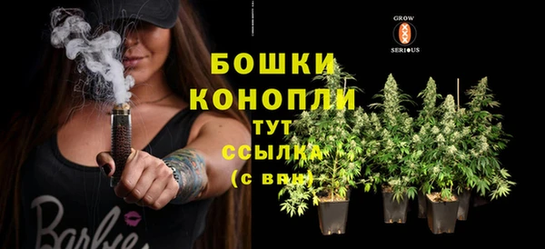 ПСИЛОЦИБИНОВЫЕ ГРИБЫ Абдулино