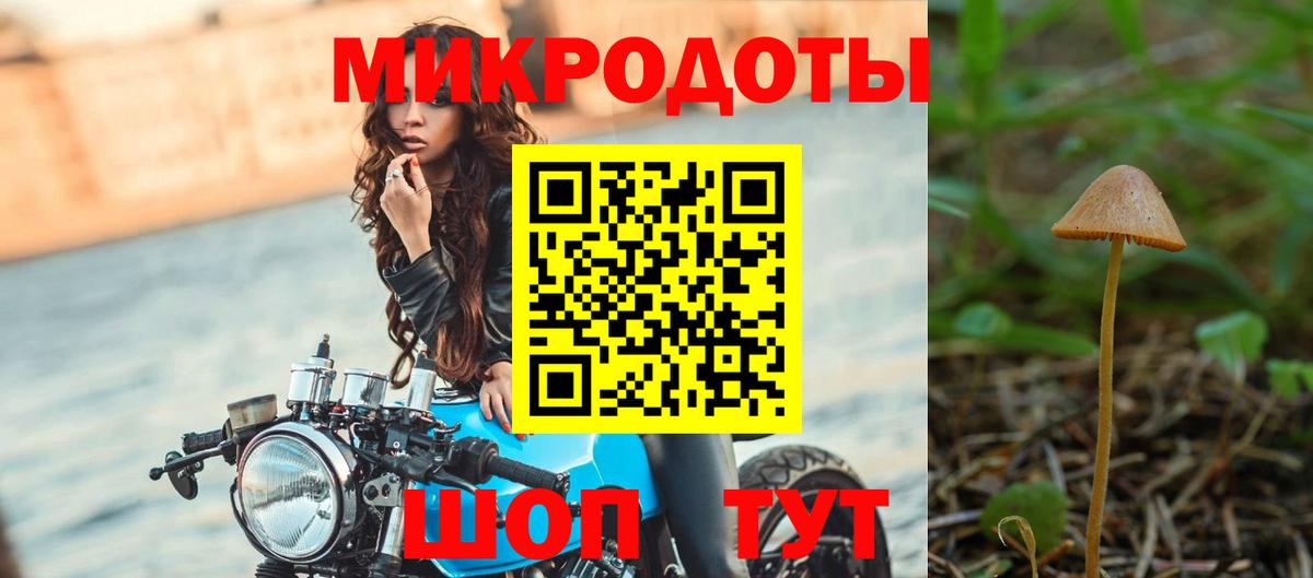 Котовск  Галлюциногенные грибы прущие грибы  Вход с VPN 